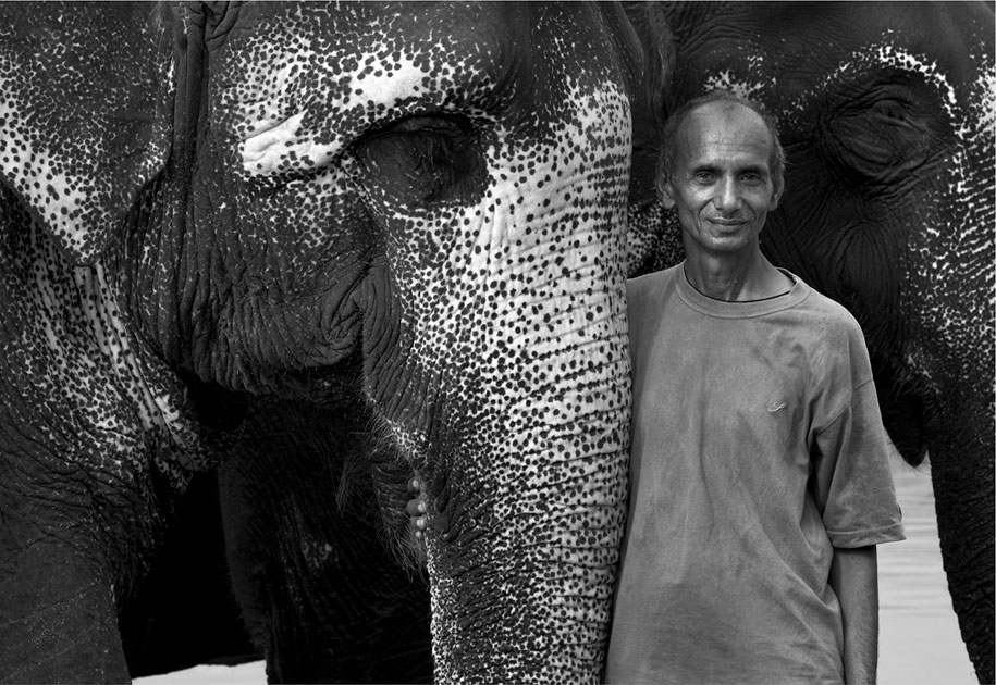 01_wwf.elephant.mahout.ogilvy&mather.blackandwhite.corbett.nationalpark.india.jpg